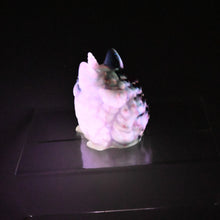 Load image into Gallery viewer, Puppicorn 0030 UV GITD

