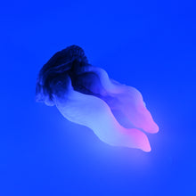 Load image into Gallery viewer, A3SHT38 Alara Medium 0030 UV GITD CS
