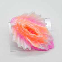 Load image into Gallery viewer, C4SJX30 Calypso Large 0030 UV GITD
