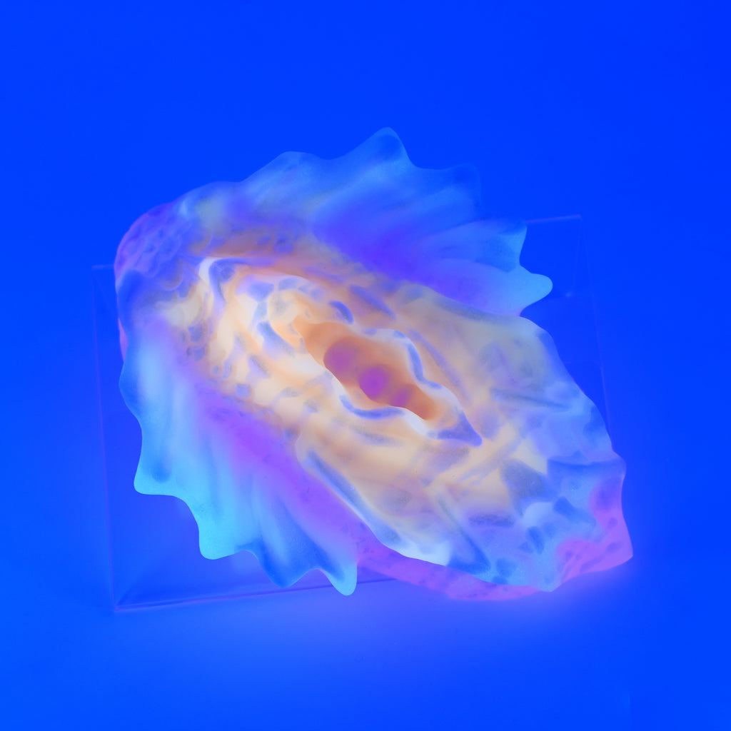 C4SJX30 Calypso Large 0030 UV GITD