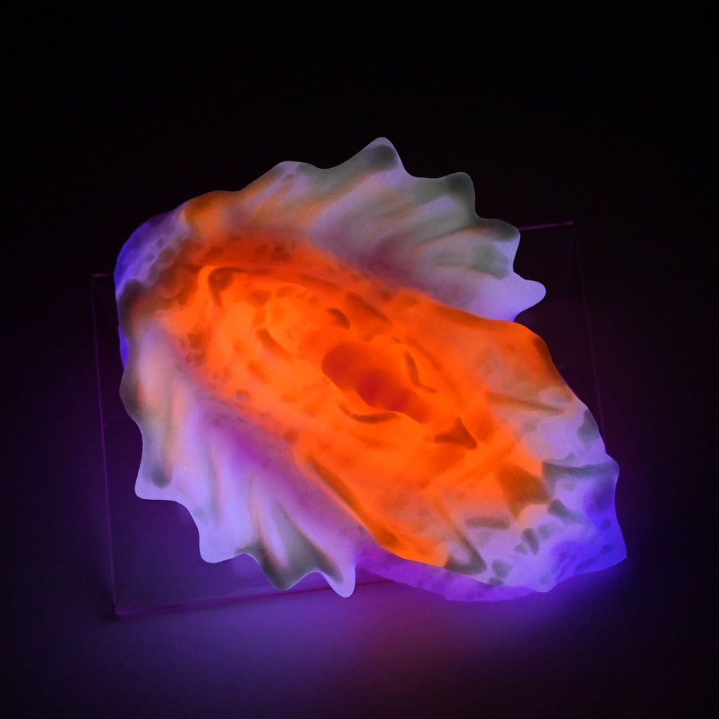 C4SJX30 Calypso Large 0030 UV GITD
