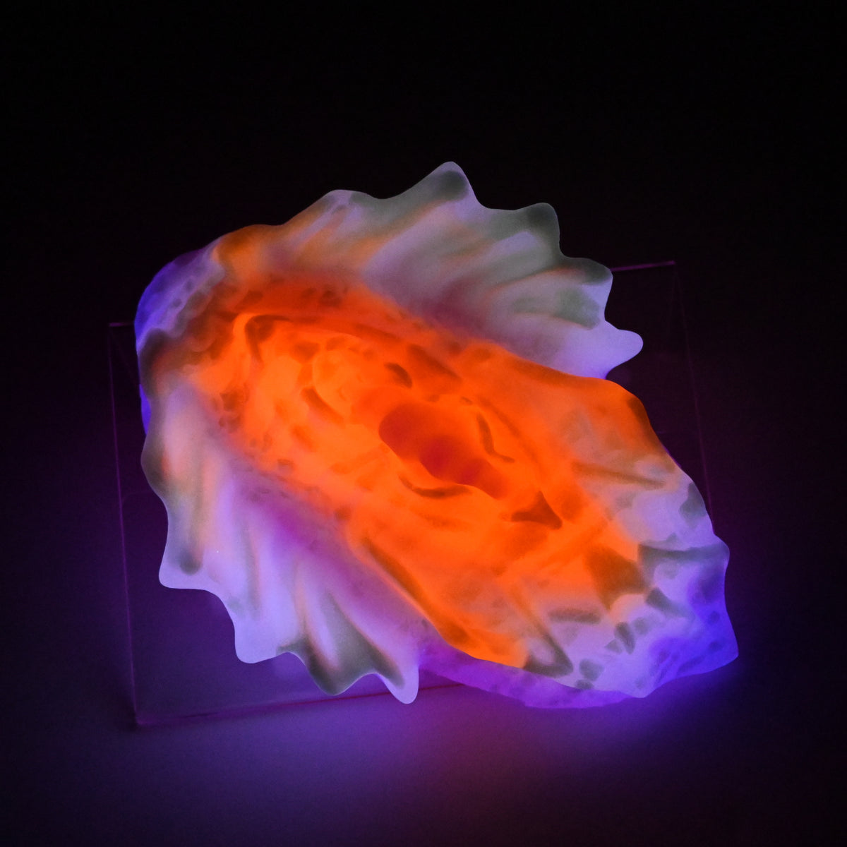 C4SJX30 Calypso Large 0030 UV GITD