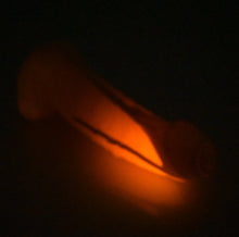 Load image into Gallery viewer, T2SER81 Titan Small 0030 UV GITD
