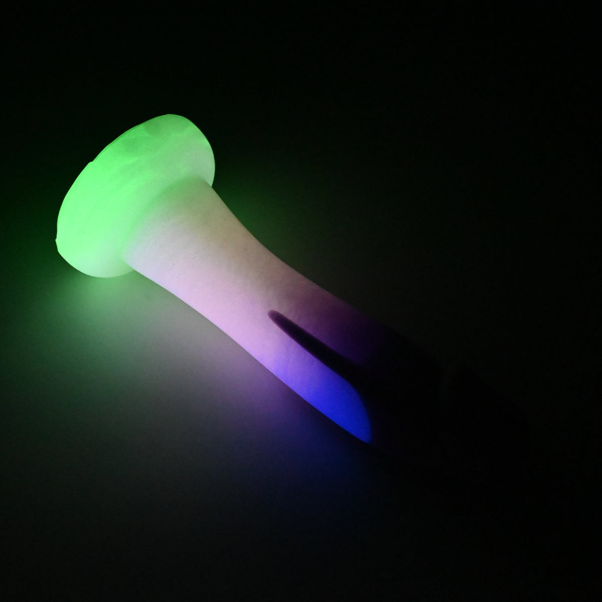 Z3MJY62 Caelus Medium 0050 UV GITD
