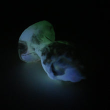 Load image into Gallery viewer, F1SGT45 Dragonfruit Plug Mini 0030 UV GITD
