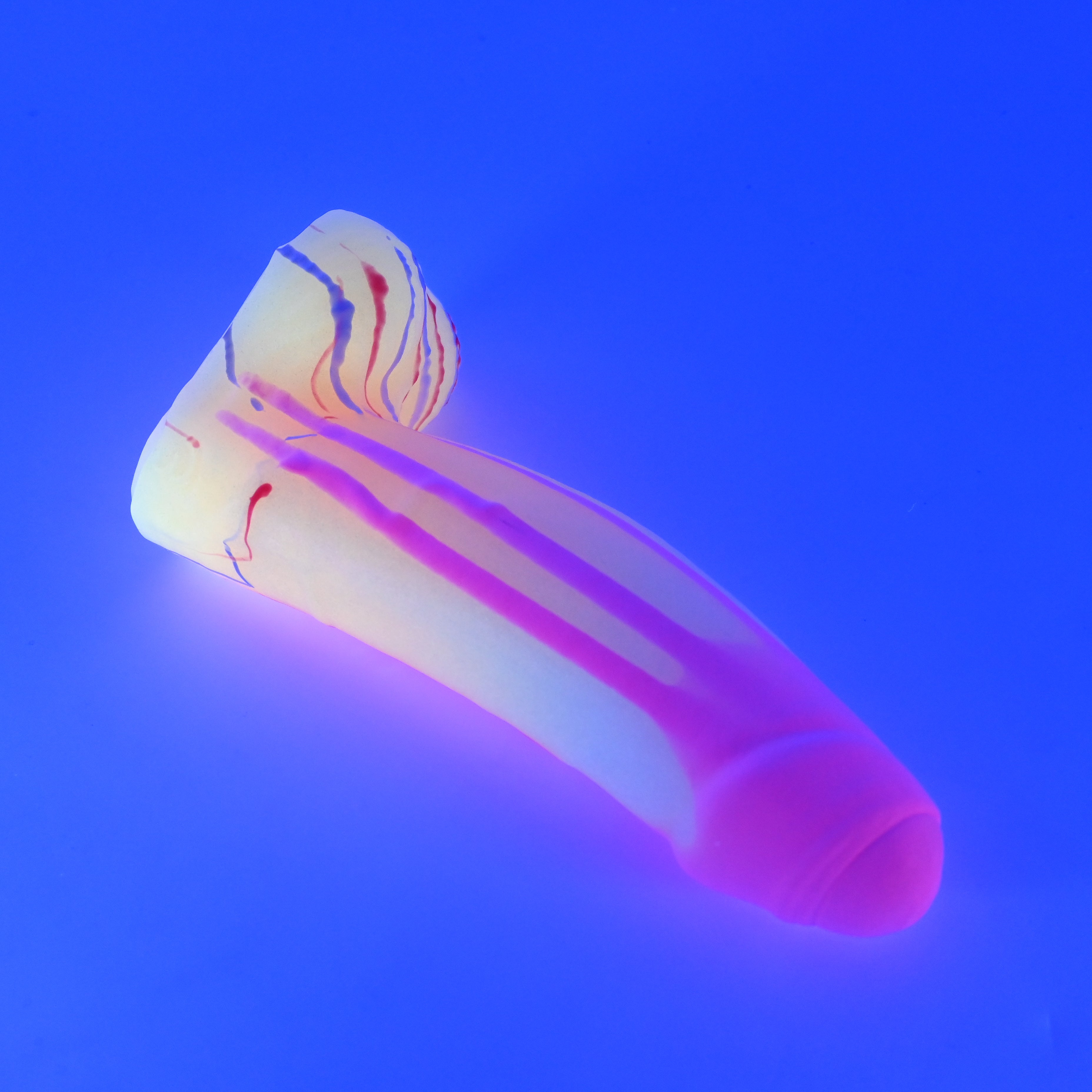 R3SJY01 Orion Medium 0030 UV GITD