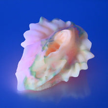 Load image into Gallery viewer, C2XDR89 Calypso Small 0020 UV GITD
