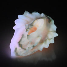 Load image into Gallery viewer, C2XDR89 Calypso Small 0020 UV GITD
