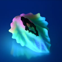 Load image into Gallery viewer, C2SDR84 Calypso Small 0030 UV GITD
