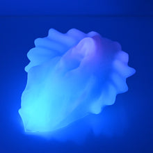 Load image into Gallery viewer, C4SDR93 Calypso Large 0030 UV GITD
