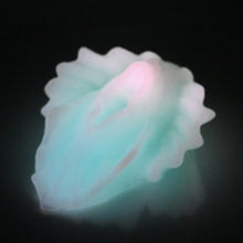 Load image into Gallery viewer, C4SDR93 Calypso Large 0030 UV GITD
