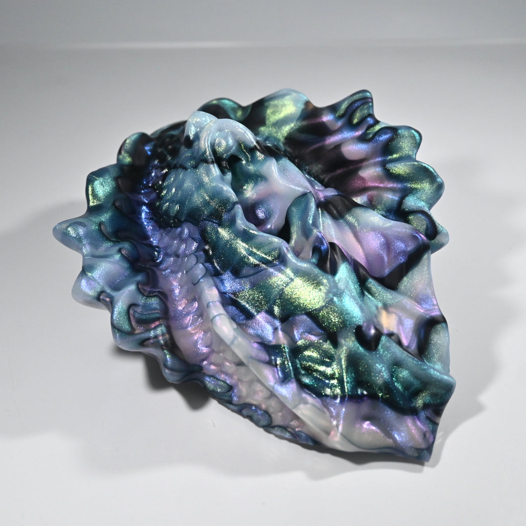 C4XDR91 Calypso Large 0020 CS