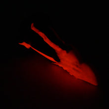 Load image into Gallery viewer, N2MFS65 Nereid Small 0050 UV GITD
