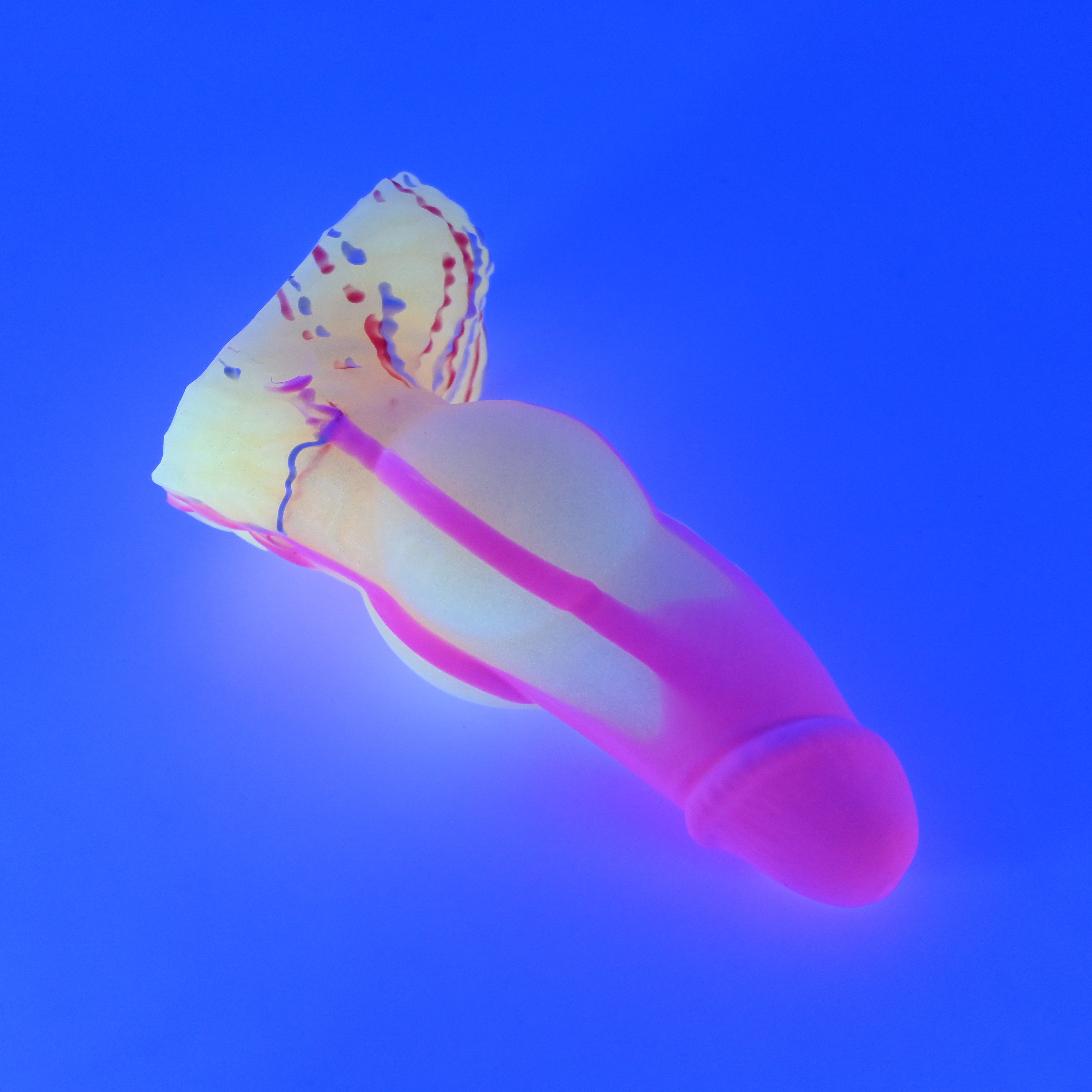 52SJW73 Jacob Small 0030 UV GITD