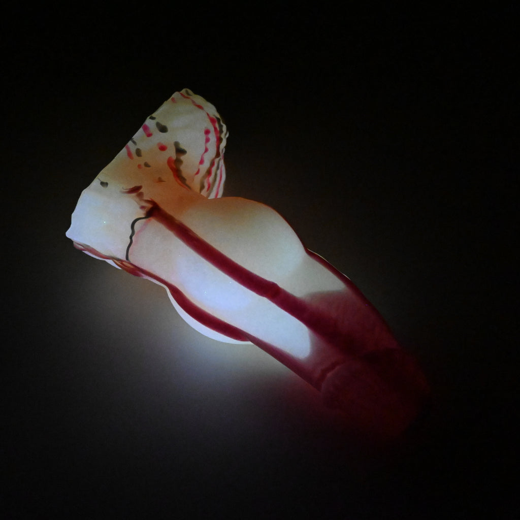 52SJW73 Jacob Small 0030 UV GITD