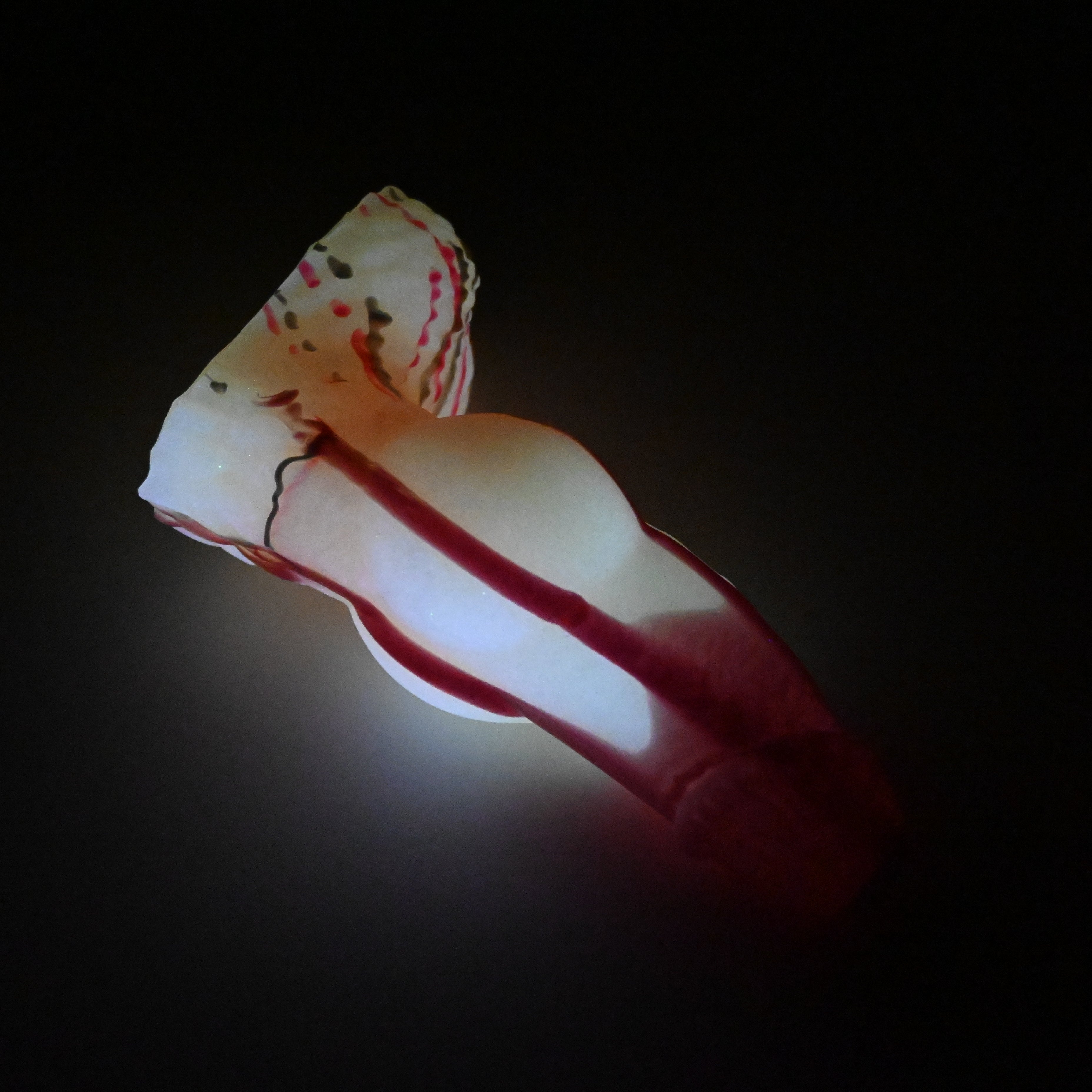 52SJW73 Jacob Small 0030 UV GITD