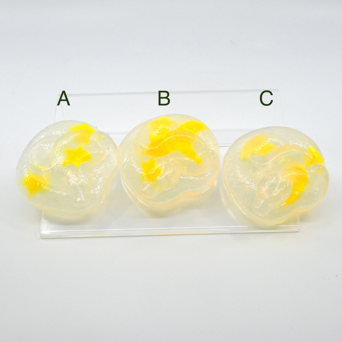 Ball Python Squish – PPS