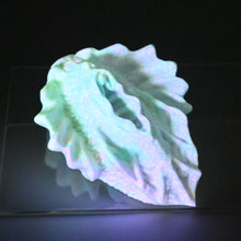 Load image into Gallery viewer, C2SGU75 Calypso Small 0030 UV GITD
