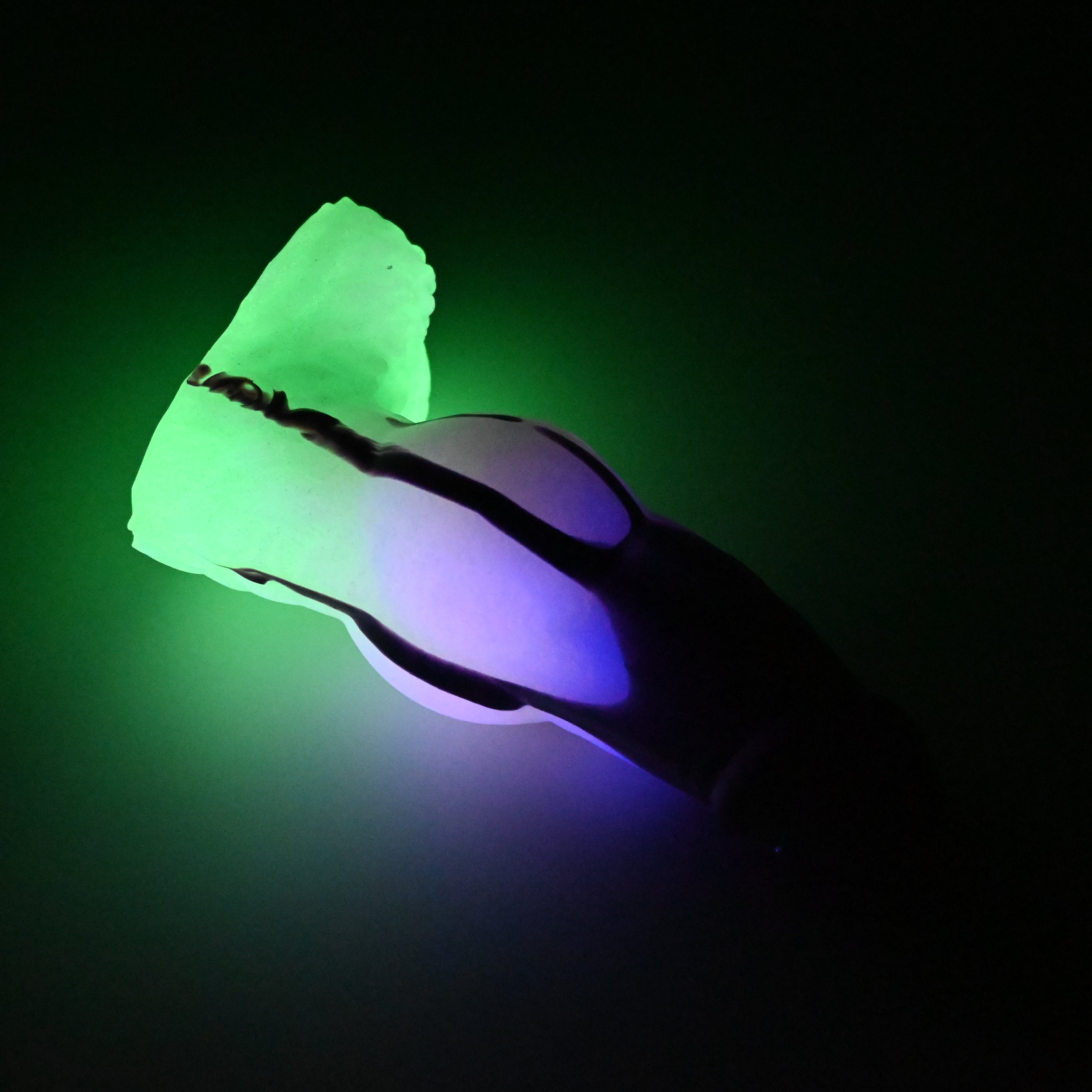 52MJW77 Jacob Small 0050 UV GITD