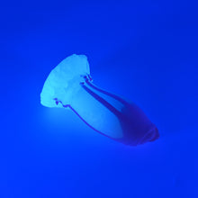 Load image into Gallery viewer, 82XHU78 Hue Small 0020 UV GITD
