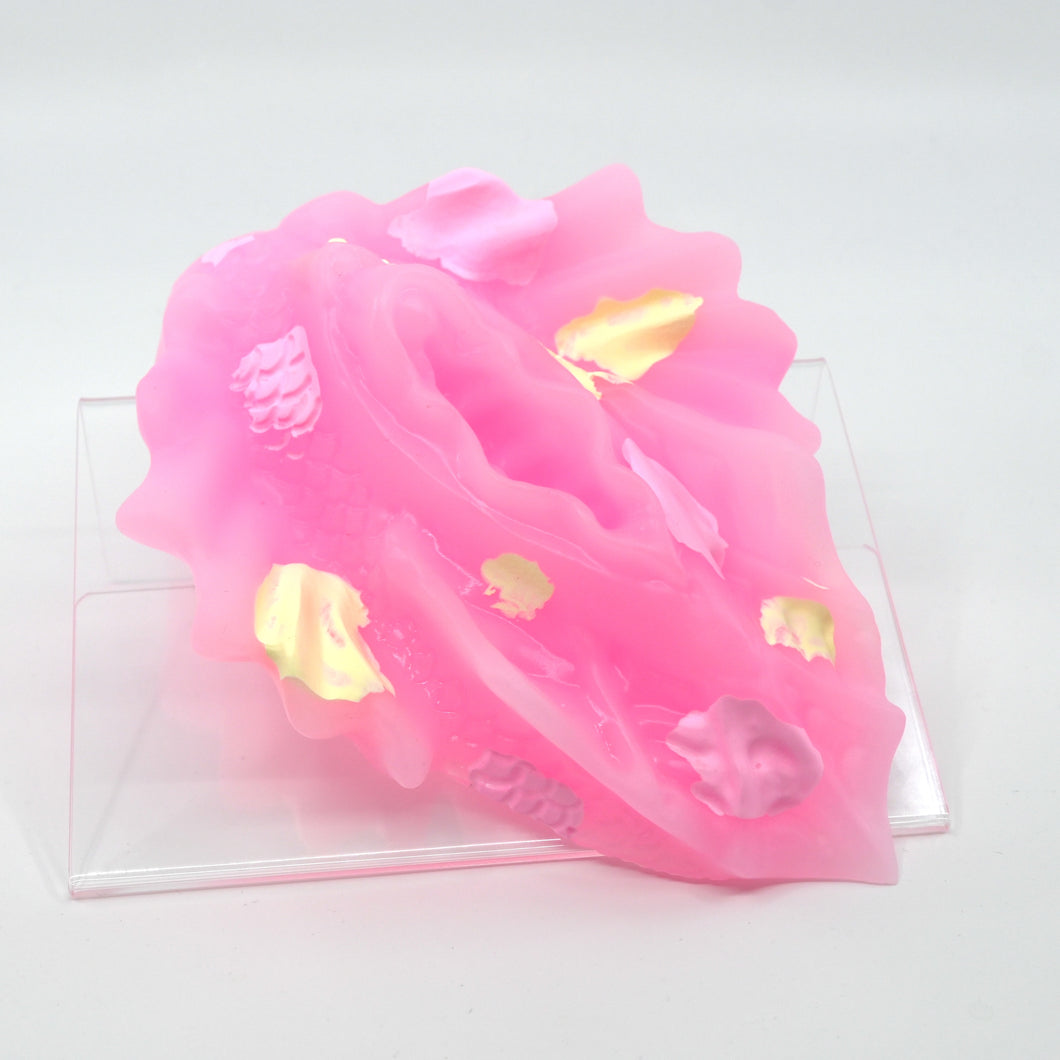 C4SGU78 Calypso Large 0030 UV GITD