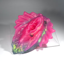 Load image into Gallery viewer, C4TGU79 Calypso Large NC 0031 UV CS
