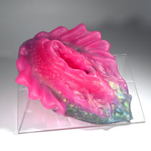 Load image into Gallery viewer, C4TGU79 Calypso Large NC 0031 UV CS
