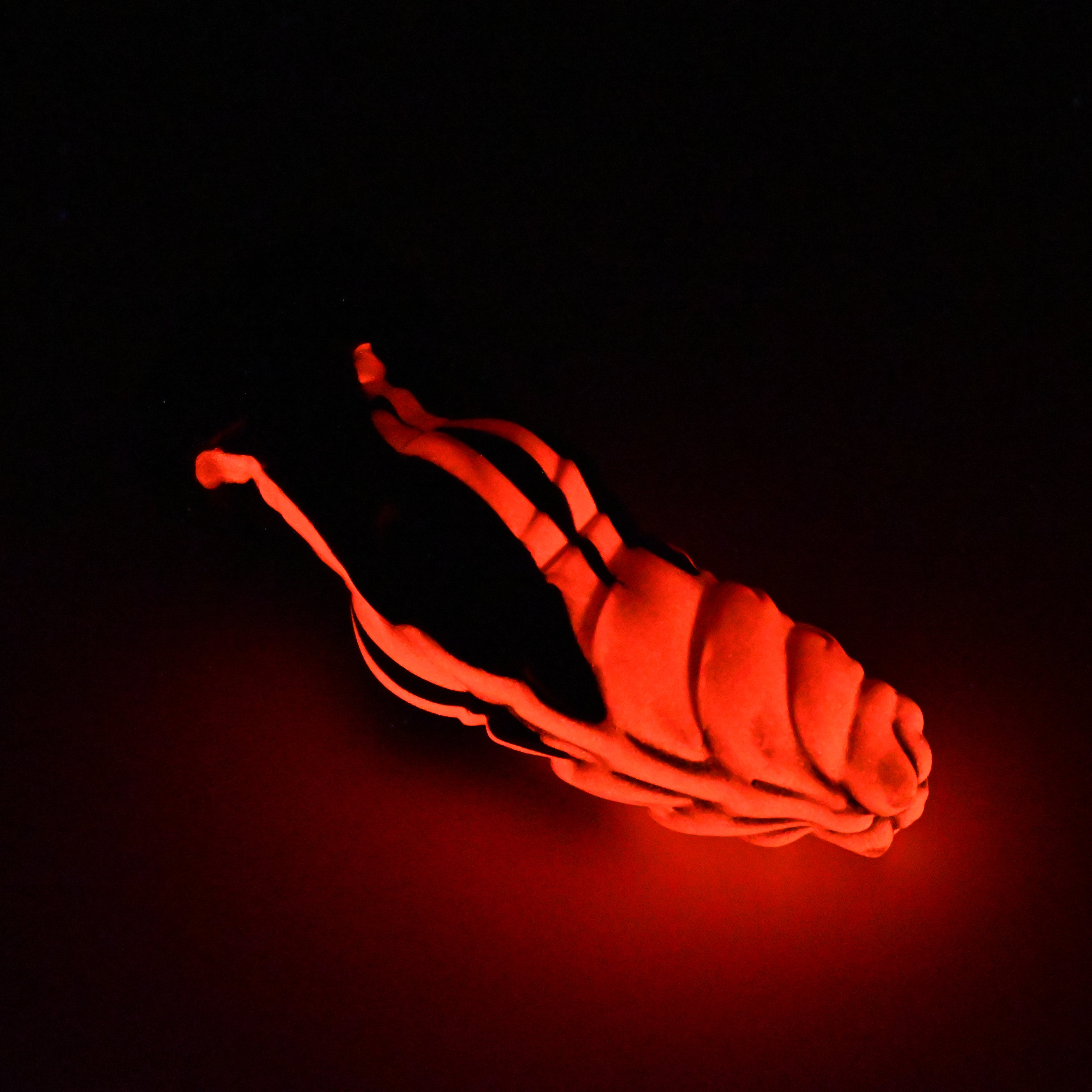 P2MJX80 Pluto Small 0050 UV GITD