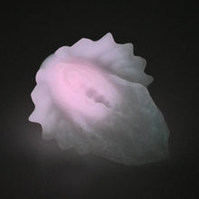 Load image into Gallery viewer, C2SFT85 Calypso Small 0030 UV GITD
