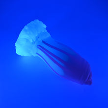 Load image into Gallery viewer, 85XHV01 Hue XL 0020 UV GITD
