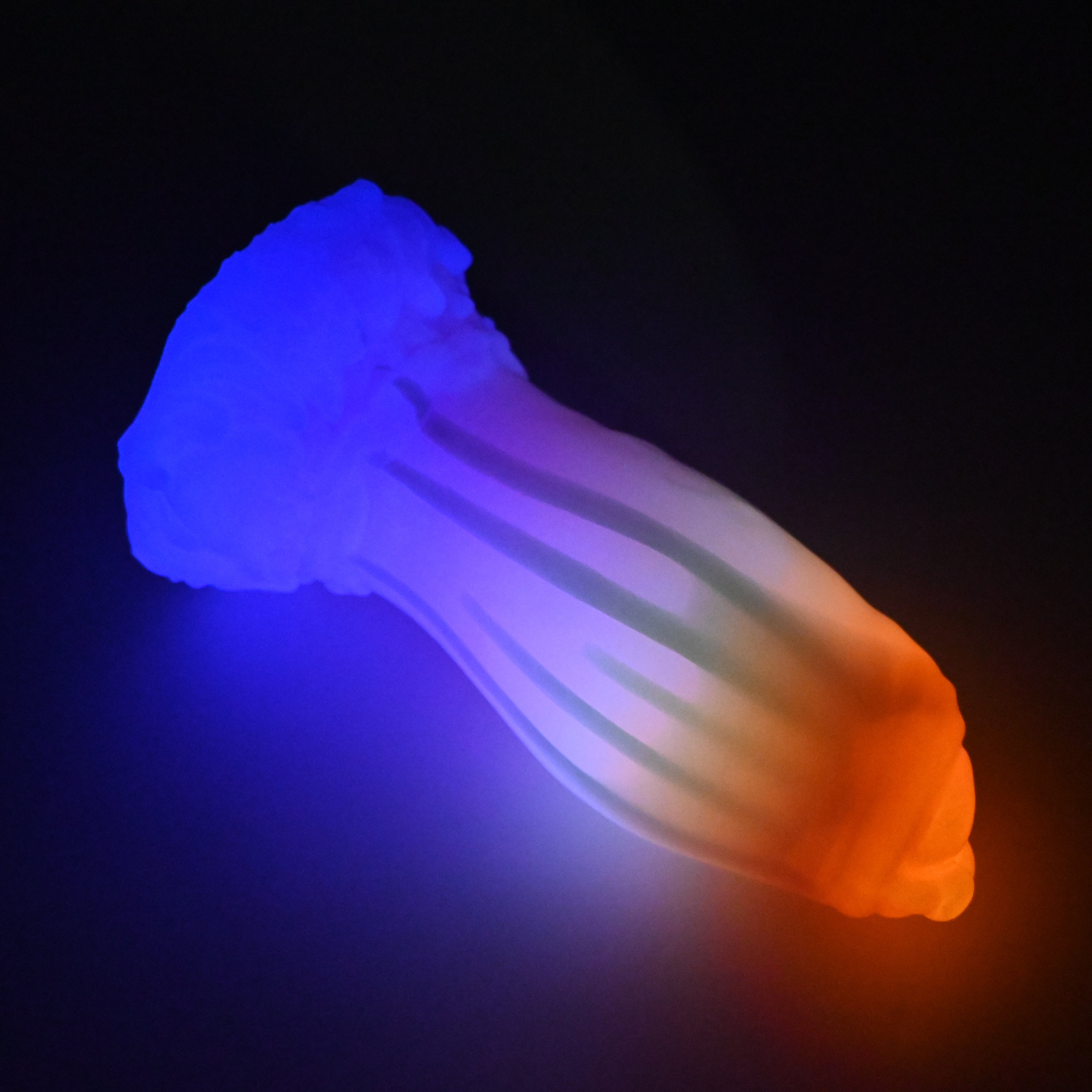 85SJX08 Hue XL 0030 UV GITD CS GOBLIN HOLE