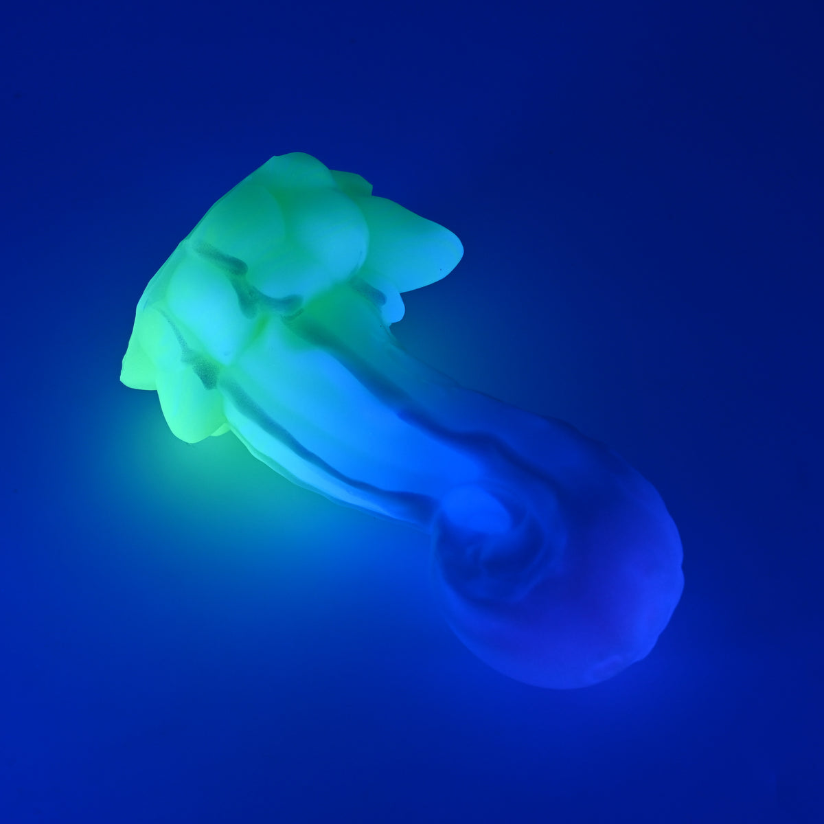 73SJW93 Terra Medium 0030 UV GITD CS