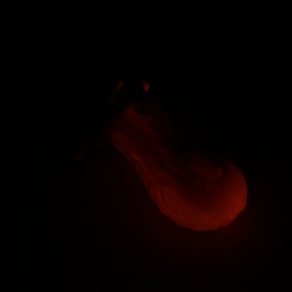 73SJW98 Terra Medium 0030 UV GITD