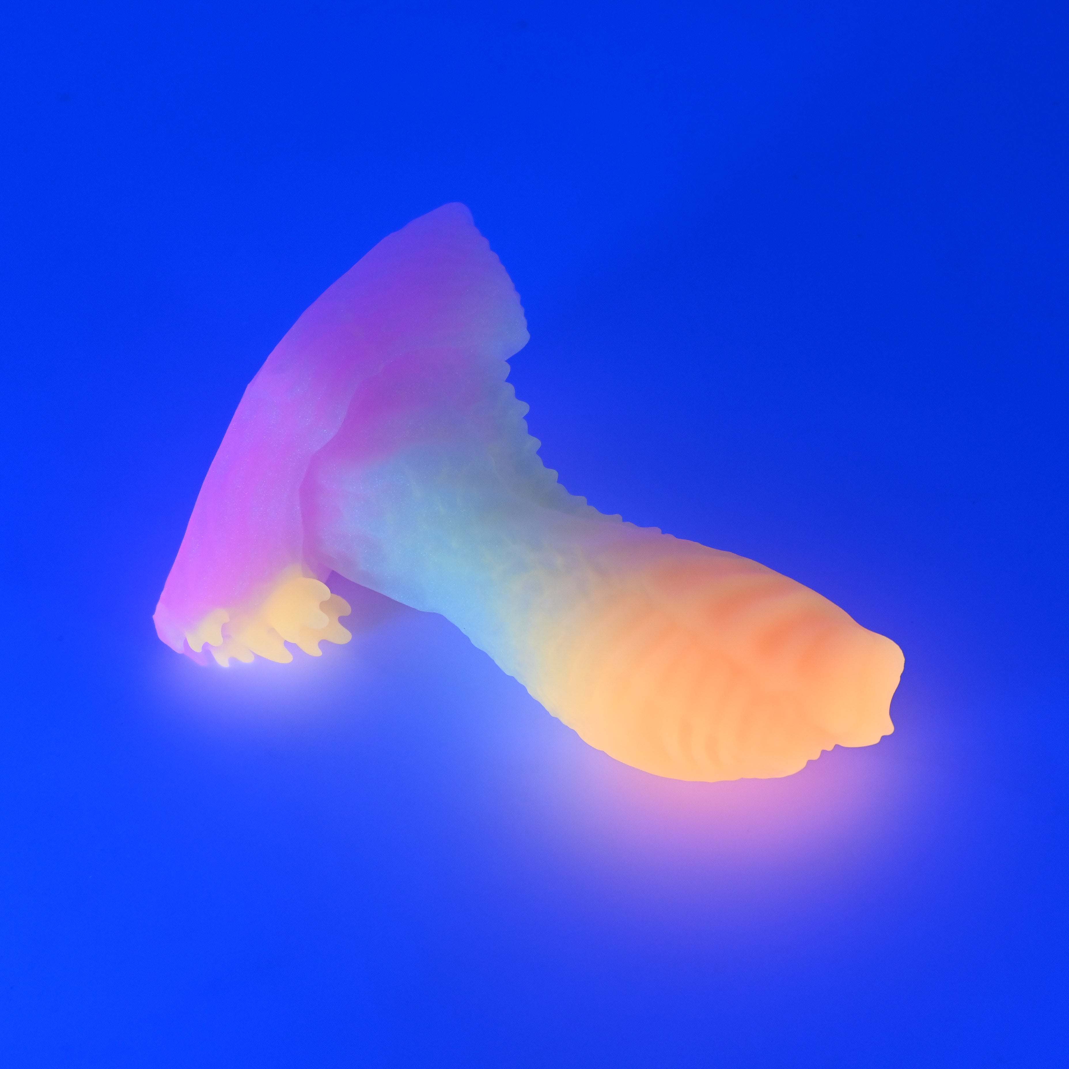 X2SJT46 Shin Small 0030 UV GITD