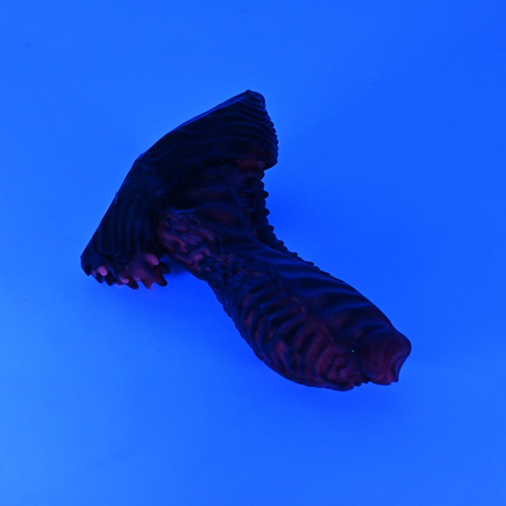 X2SJY47 Shin Small 0030 UV GITD