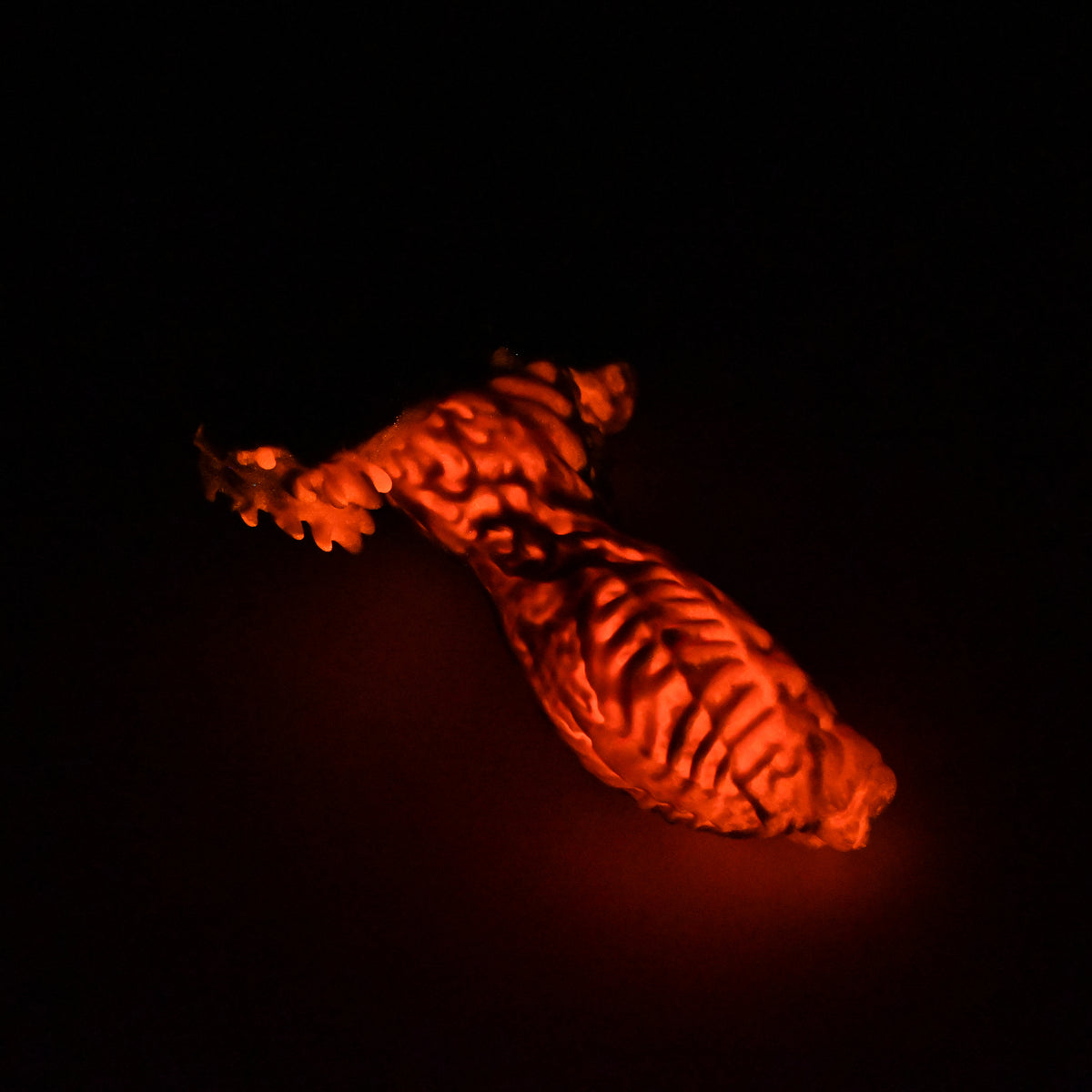 X2SJY47 Shin Small 0030 UV GITD