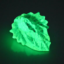 Load image into Gallery viewer, C2MEQ18 Calypso Small 0050 UV GITD
