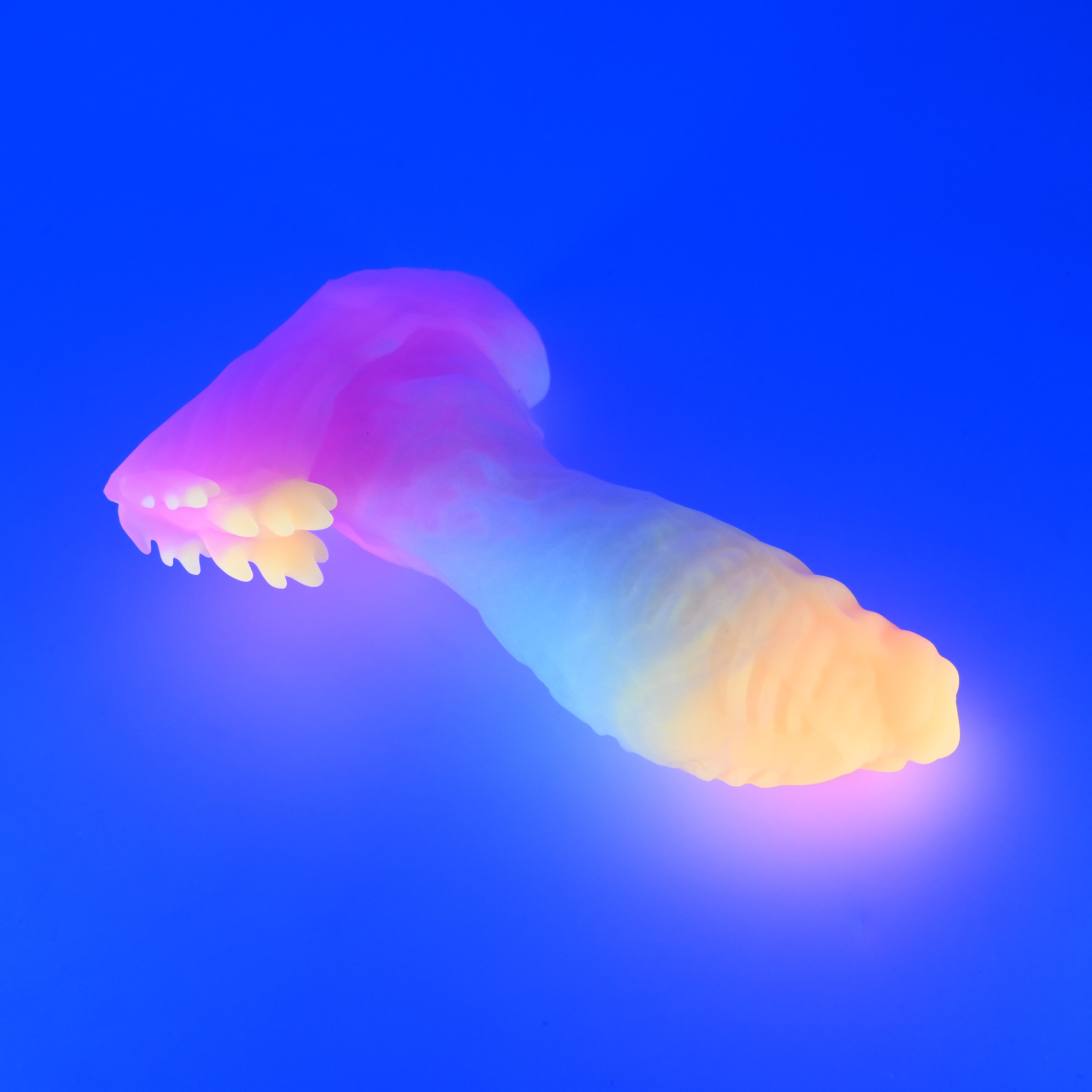 X3SJY49 Shin Medium 0030 UV GITD