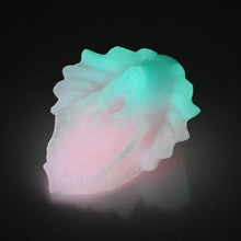 Load image into Gallery viewer, C2XEQ19 Calypso Small 0020 UV GITD
