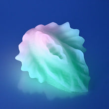 Load image into Gallery viewer, C2XEQ20 Calypso Small 0020 UV GITD
