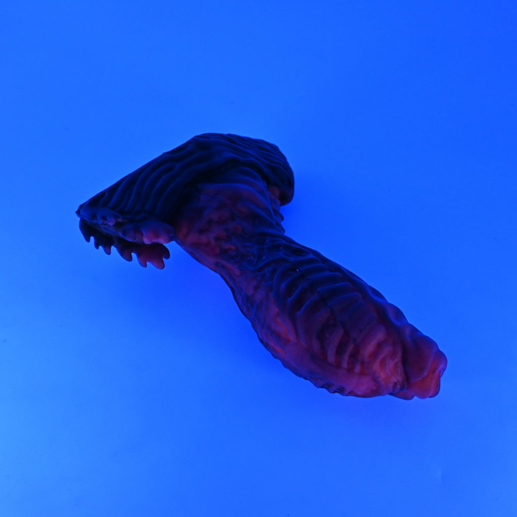 X3SJY50 Shin Medium 0030 UV GITD