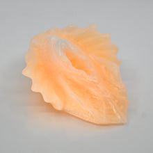 Load image into Gallery viewer, C2MEQ21 Calypso Small 0050 UV GITD
