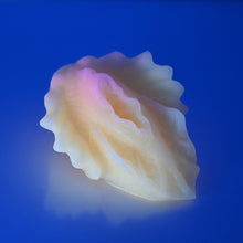 Load image into Gallery viewer, C2MEQ21 Calypso Small 0050 UV GITD
