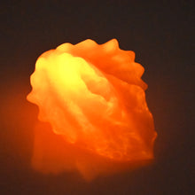 Load image into Gallery viewer, C2MEQ21 Calypso Small 0050 UV GITD
