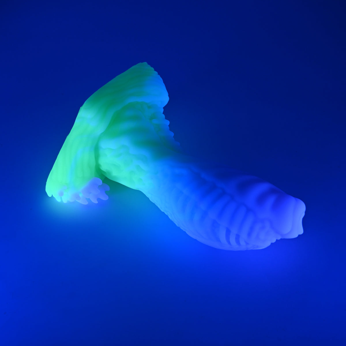 X4SJY51 Shin Large 0030 UV GITD