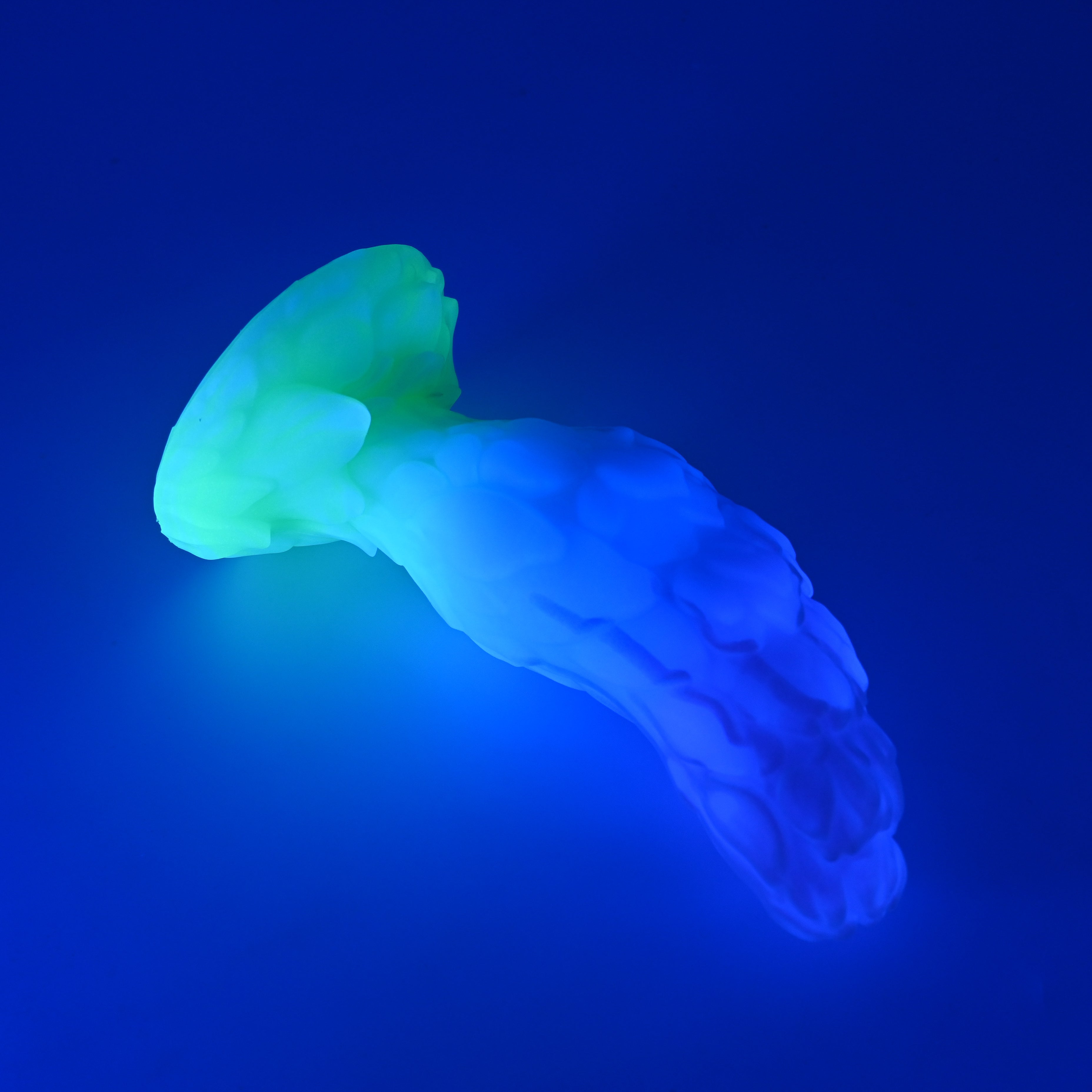 B3SJX24 Flora Medium 0030 UV GITD CS