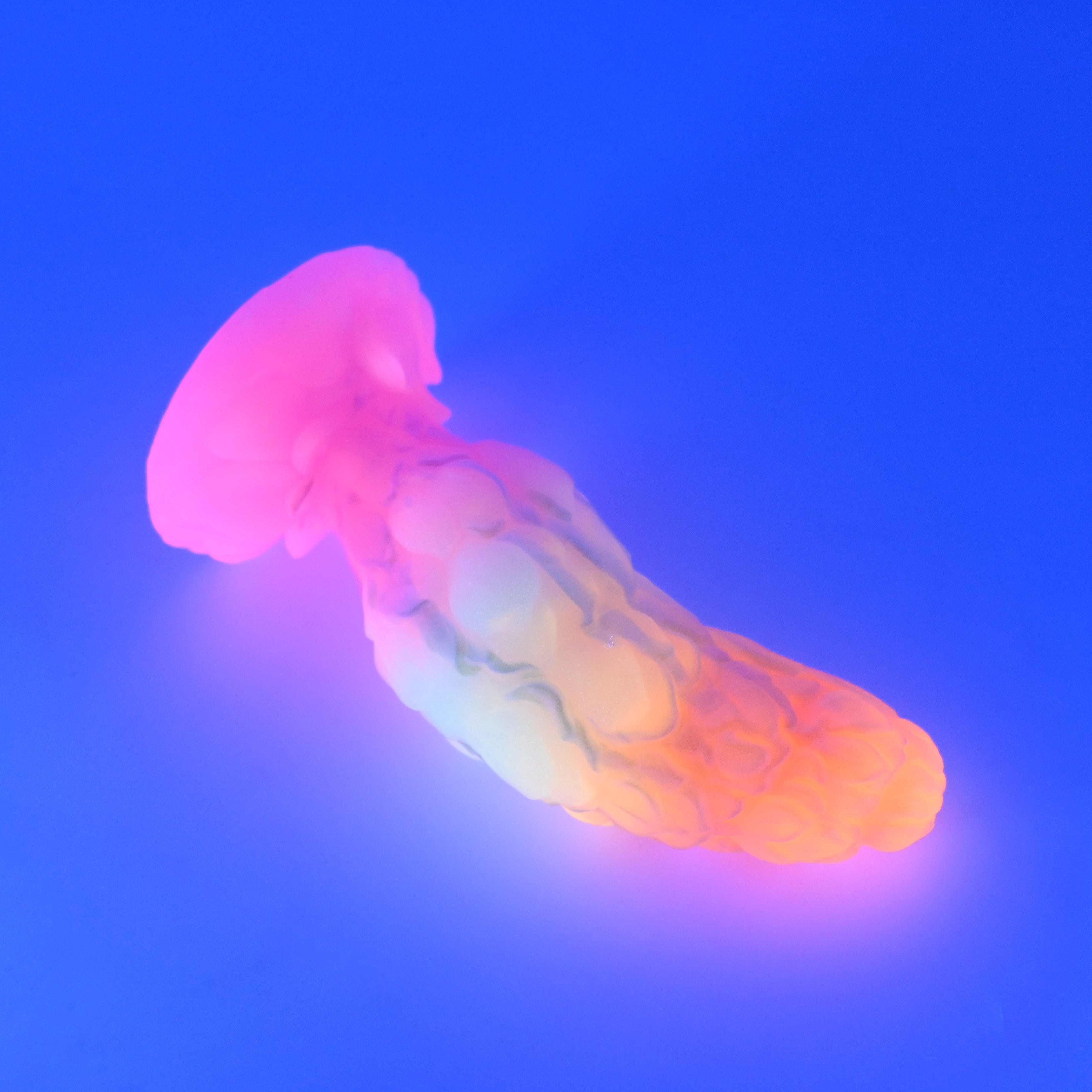 B3SJX25 Flora Medium 0030 UV GITD CS