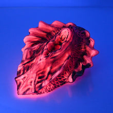 Load image into Gallery viewer, C4SEQ28 Calypso Large 0030 UV GITD
