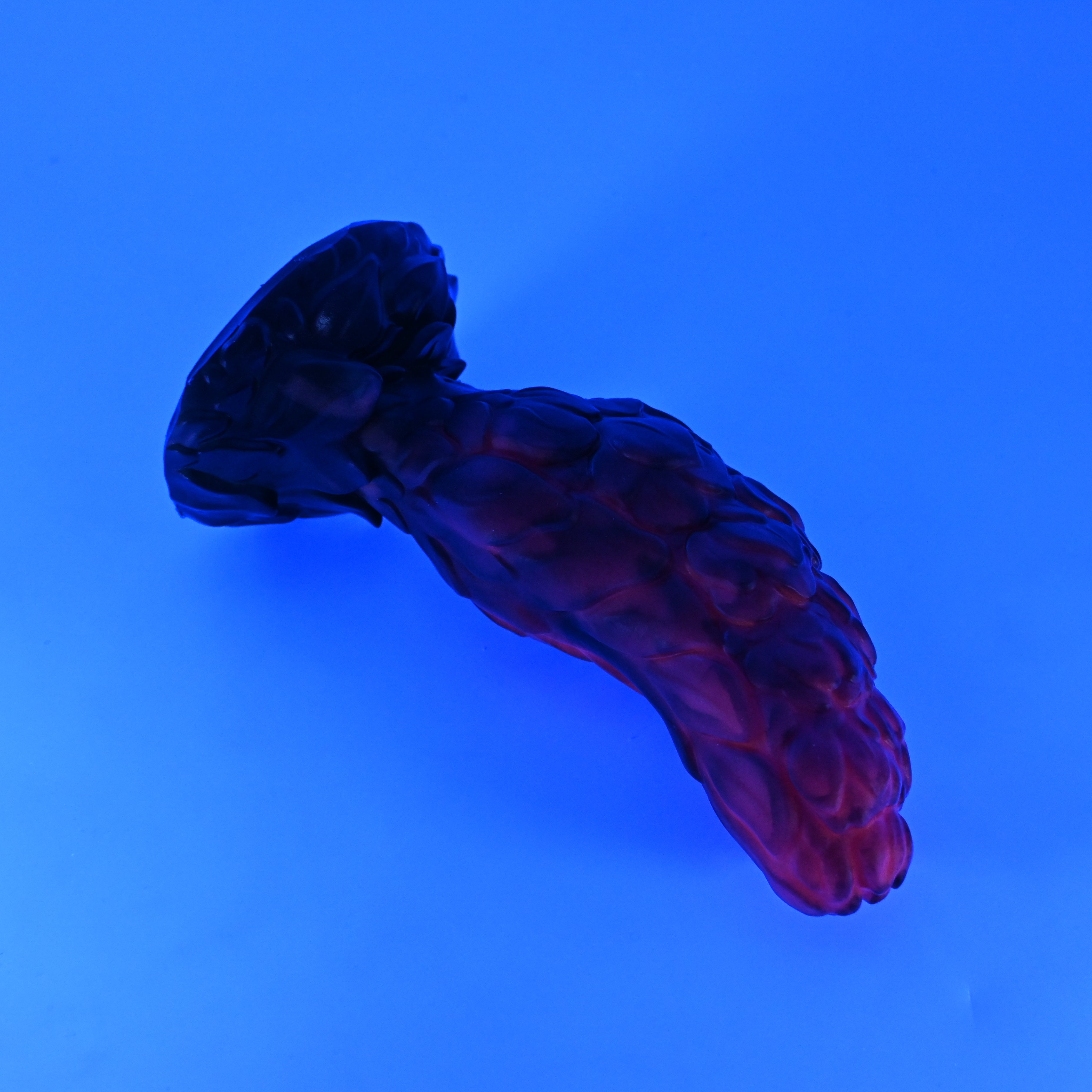 B3SJX27 Flora Medium 0030 UV GITD