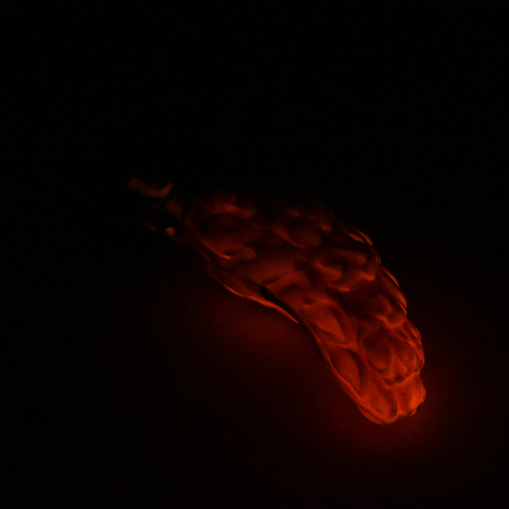 B3SJX27 Flora Medium 0030 UV GITD